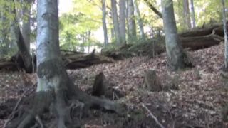 Krajina bez tieňa 4