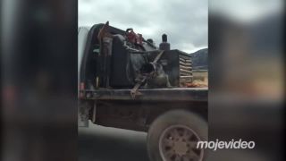 Farmár a jeho pes! (USA)