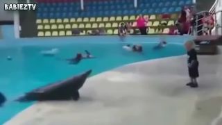 Animals Funny 2