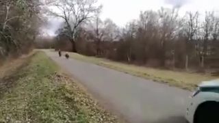 Pomáhať a skrotiť