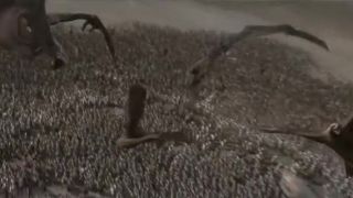 Lotr - Last Stand (MvsT)