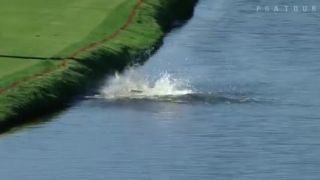 Zhodil aligátora do vodnej nádrže počas golfového turnaja
