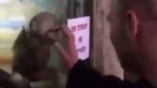 Nadrzany opiciak v zoo posiluje honiceps:)