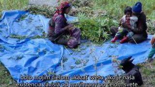 The Culture High - Marihuana ako liek (SK titulky)