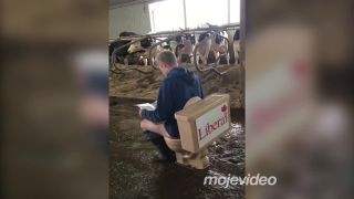 Kanadskí farmári v tom majú jasno, kto je liberál