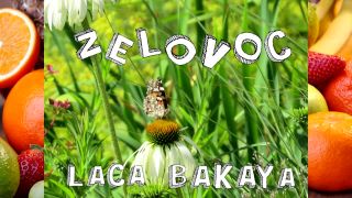 Prečo bojovať proti vijačke krušpánovej biologicky?