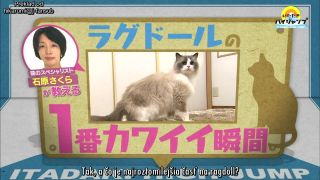 Itadaki High Jump [17.08.2016] - SK titulky