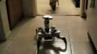Robot vs. pes