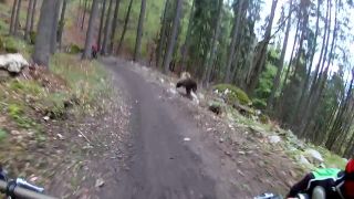 Medveďku, daj cyklistovi labku (Bikepark Malinô Brdo)