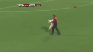 Psy narušili futbalový zápas