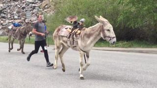 Pack Burro - ultramaratón so somármi