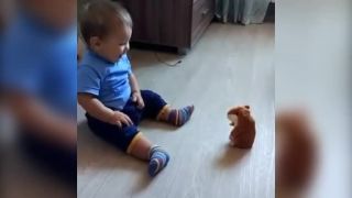 Opakovací škrečok nie je najlepšia hračka pre malé deti