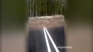 Cesta do lesa (Rusko)