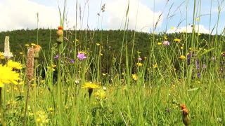 Muránska Planina a Muránsky Hrad
