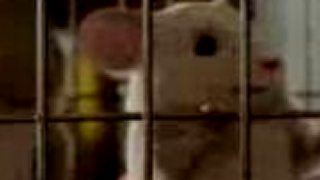 G - Force Trailer HD