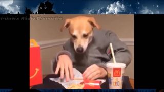 Zkus se nezasmát výzva