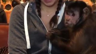 Nina Dobrev so zvedavou opičkou