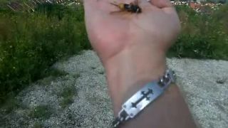 BODNUTÍM SRŠOVITÝCH zomreli v SR už viacerí ľu