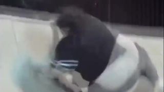 Do it you bitch!