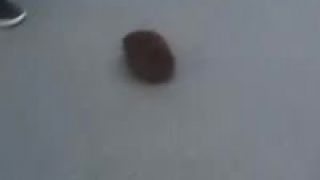 Poľský JEŻ na ceste