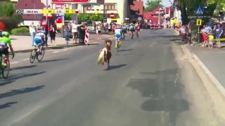 Poník zaútočil na Saganove žlté tričko (Tour de Pologne)