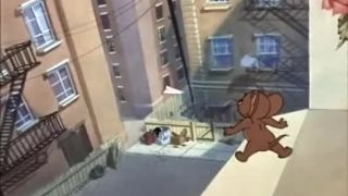 Tom a Jerry - Tom Casanova