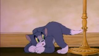 Tom and Jerry | 005 | Dog Trouble
