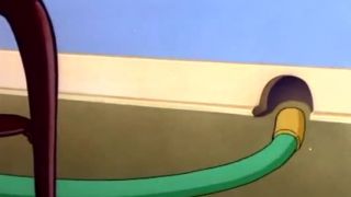 Tom a Jerry - Kocúr na gombík