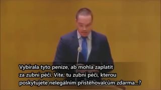 Kdo zničil Švédsko? (proslov Švédských demokratů)