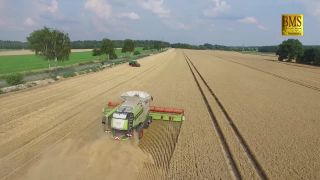 Žatva s CLAAS LEXION 780
