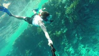 EGYPT, Sharm el sheikh, Hotel Plaza, Sharm Resort 2017