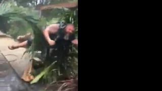 Hurikán Irma (parodie)