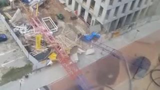 Spadol žeriav V Polsku