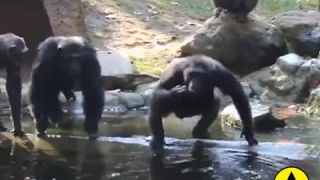 O našej existenci a oslobodení