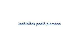 Doprajte vášmu psovi mať vlastný jedálniček