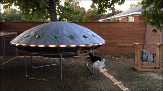 Naše sliepky bývajú v UFO!