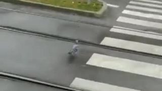 Holub ide cez prechod (červena a on si ide)