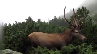 No nazdar! (Vysoké Tatry)