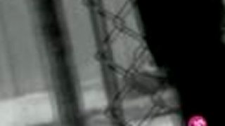 Skid Row - Youth Gone Wild