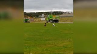Orol vs. čajka (Kanada)