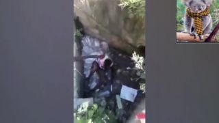 Elvis sa opil