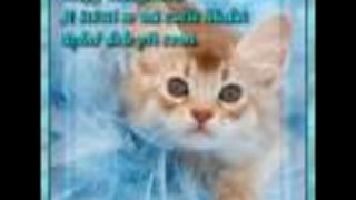 Laskaa 