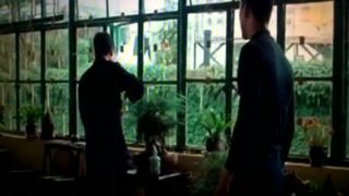 Majster Ip Man a MOTÝĽ - motýle dnes prosto "letia"