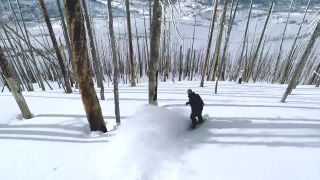 Dokonalý freeride lesom v Colorado