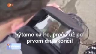 "Utečenci" a ich ochota pracovať.