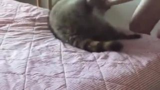 Slepé dievča sa hrá so svojou mačkou