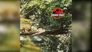 Jurassic park (paródia)