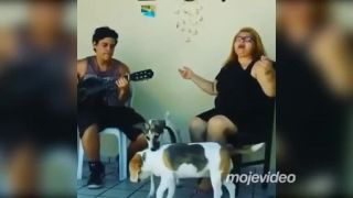 Naše psíky milujú túto pieseň (Brazília)
