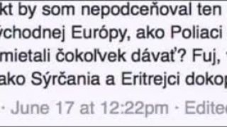 "Slováci sú biela spodina"