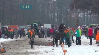 Furmani brutálne zmasakrovali svojho koňa